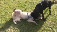 Penny und Moritz 2012