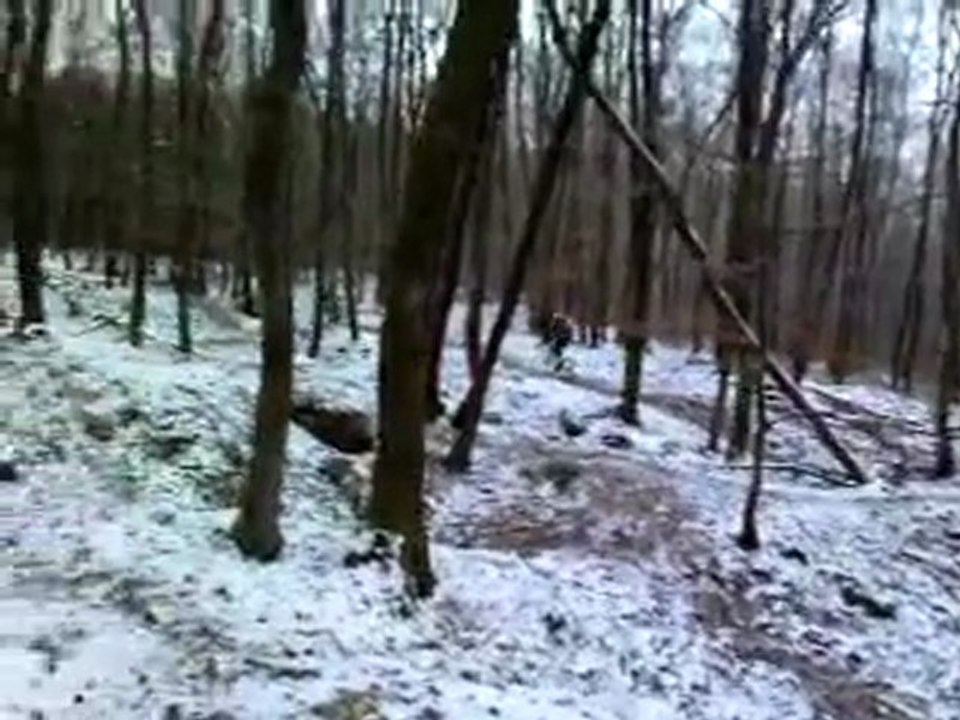 V010212_14.290002
