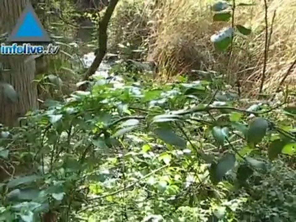Llega la Primavera