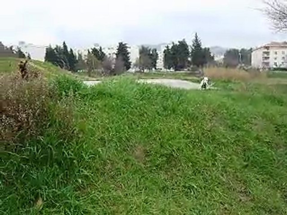 Gandhi et Tao
