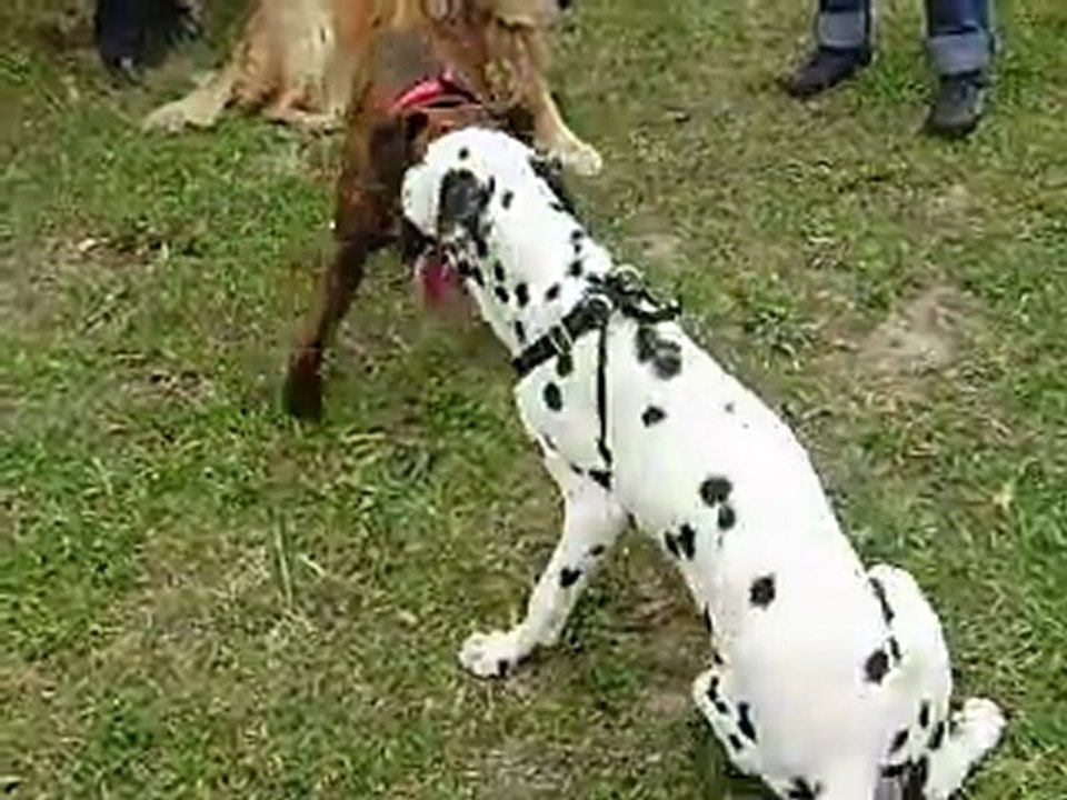 Gandhi et Tao fin janvier 2011