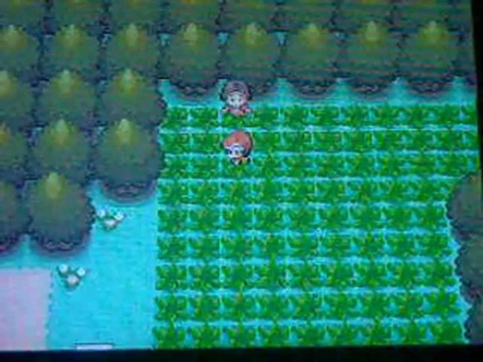 Etourmi Shiney/ Starly Shiny par Pokeradar