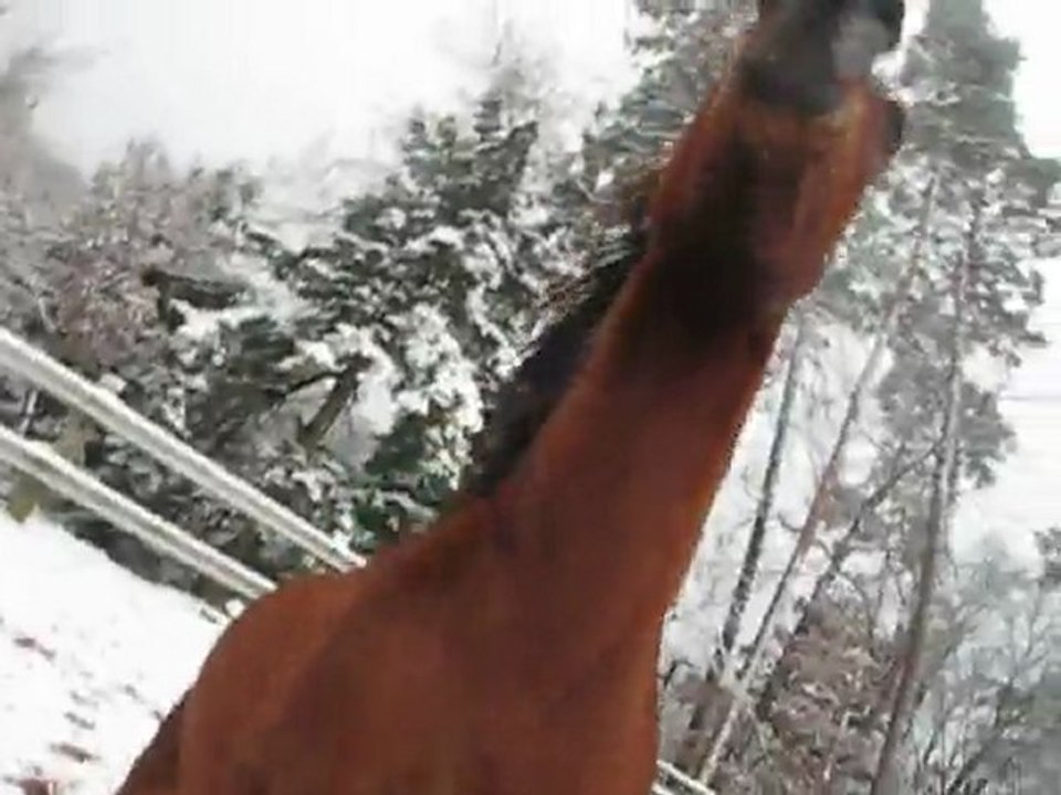 Carrière 31-01-12