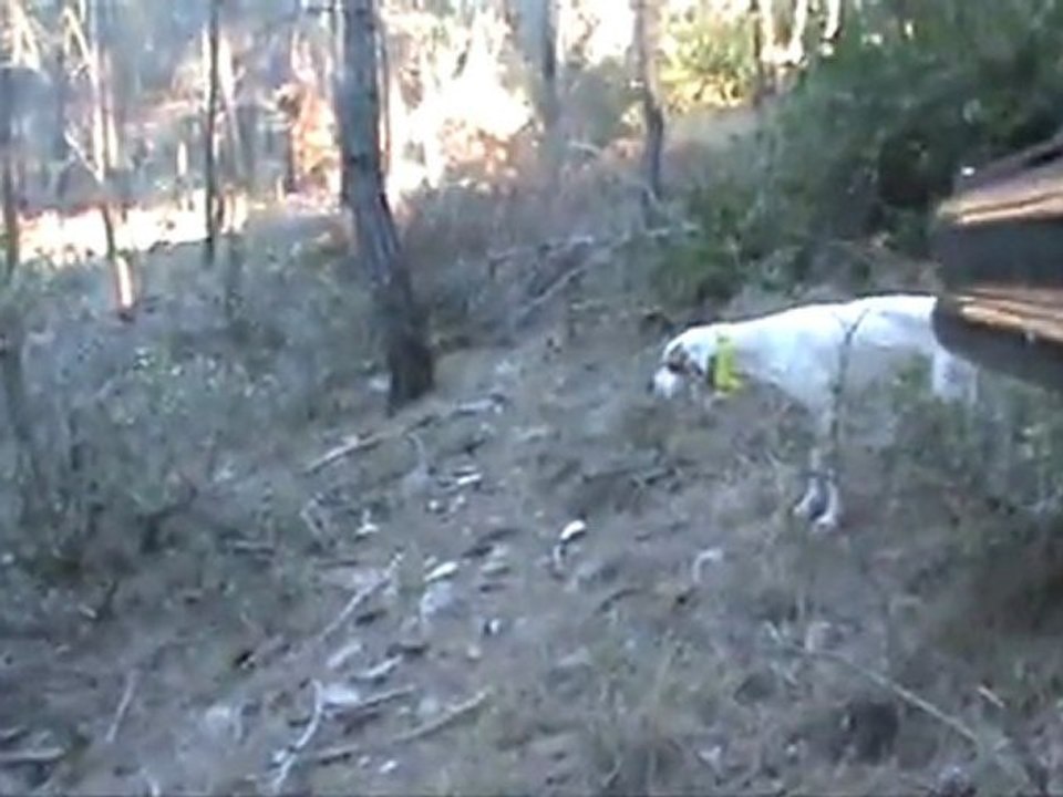 AS & ŞİLA BABALI KIZLI FERMA