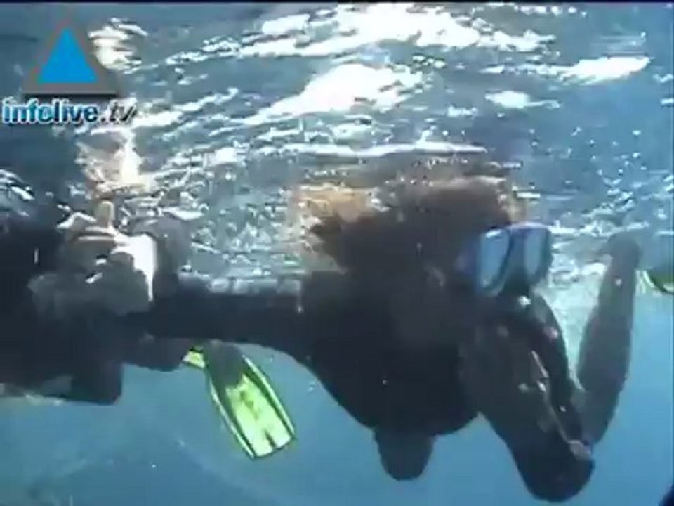 Un mundo de bellezas en las profundidades del mar