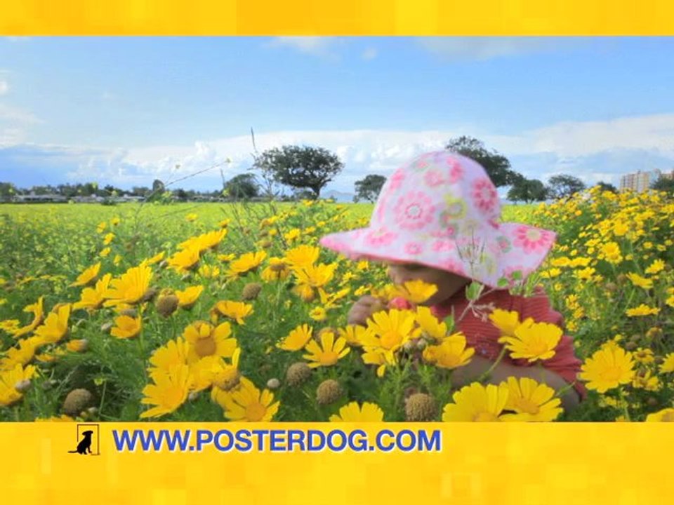 Poster Printing Atlanta - Save 10% with PosterDog