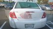 2008 Chevrolet Cobalt for sale in Roseville CA - Used Chevrolet by EveryCarListed.com