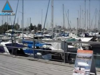 سفن فك الحصار القادمة