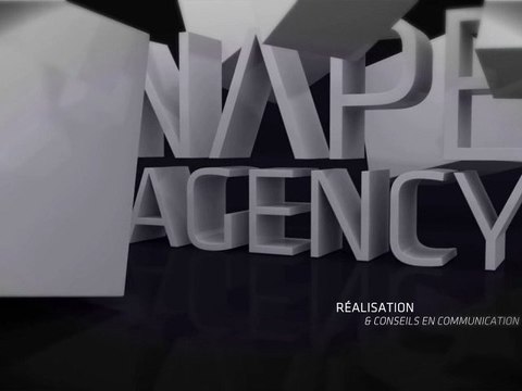 Intro NAPE agency digital 2012 napeagency.com