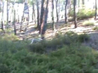 AS GOCA OĞLAN FERMA