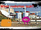 Nuclear Plant California Radiation Leak