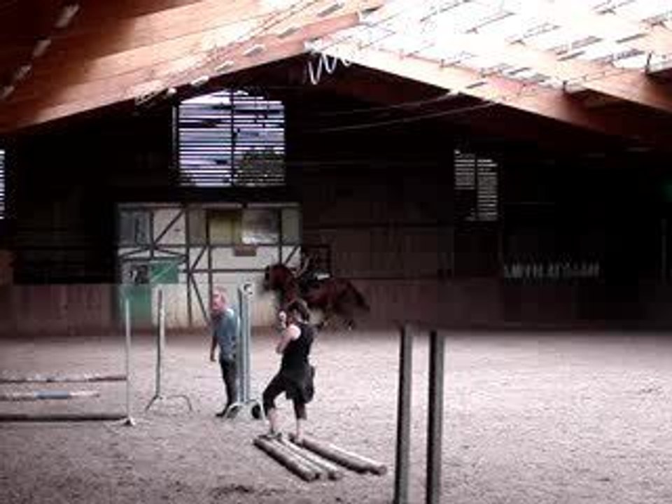 mOi et Dream