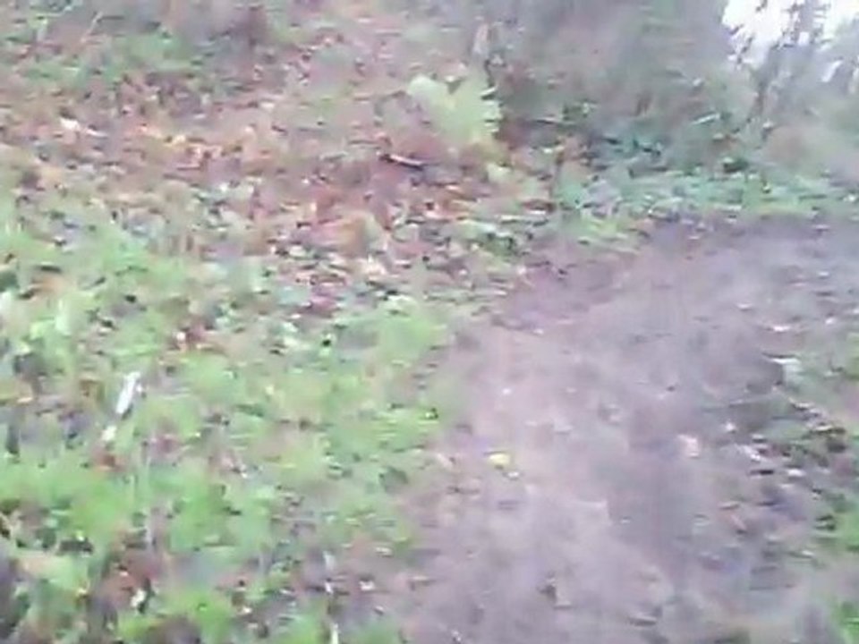 Plérin : pont de percée à l'arrivée