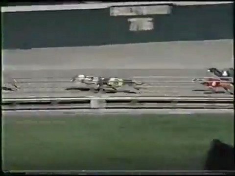 1993 World Classic at Hollywood Florida Greyhound Track