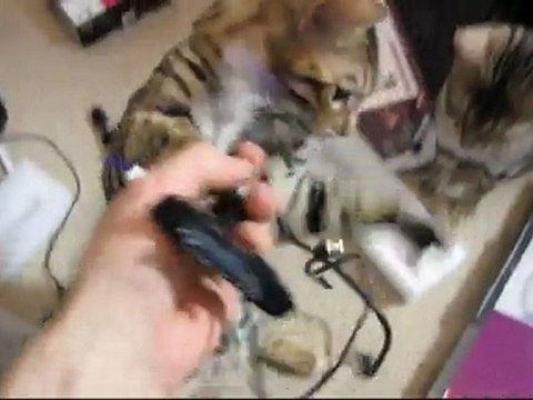 Seagate FreeAgent GoFlex USB3.0 Cable Performance Test With a Random Drive Linus Tech Tips