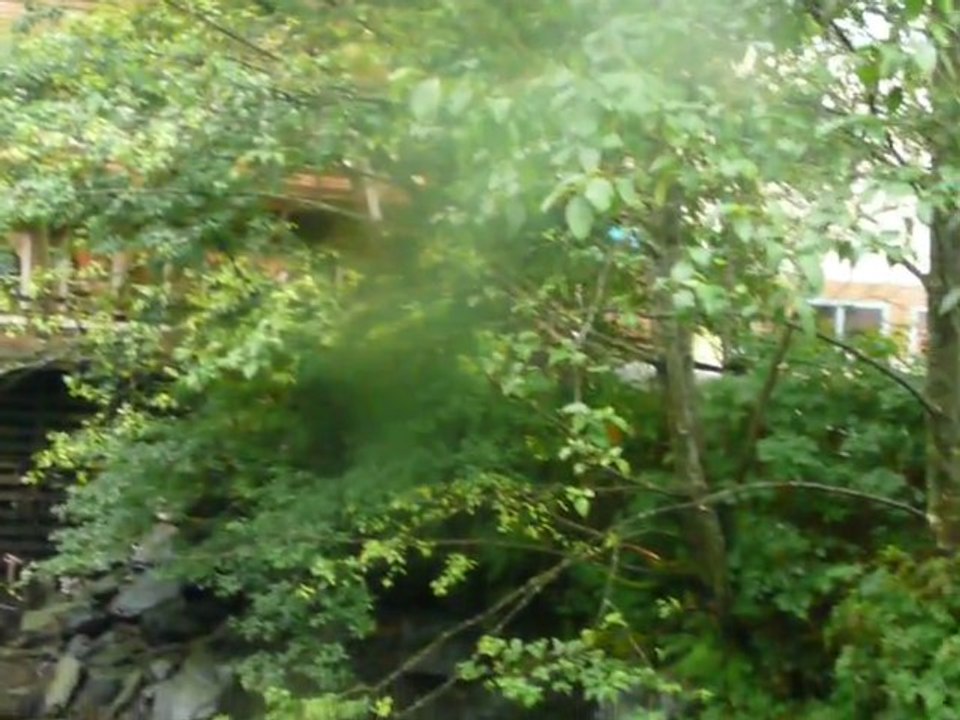 CRUISE (KETCHIKAN)-2010 002