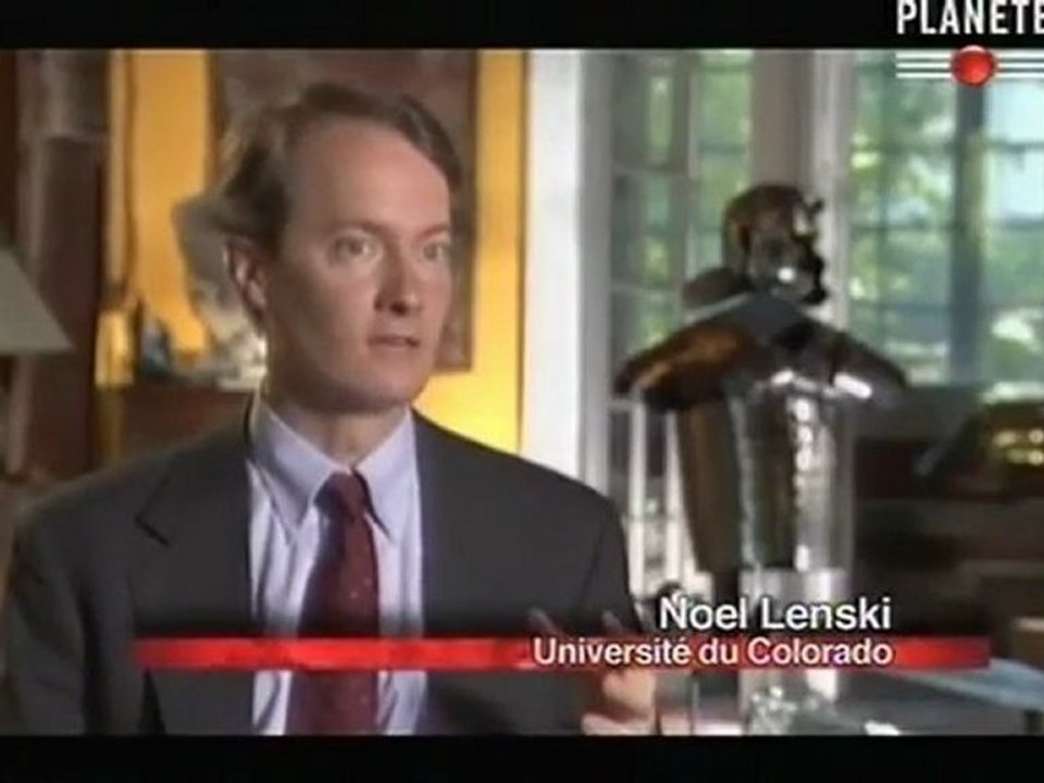 Grandeur et decadence d'un empire (Rome face à Spartacus)