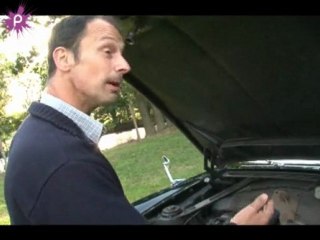 Simca Chambord , Ariane