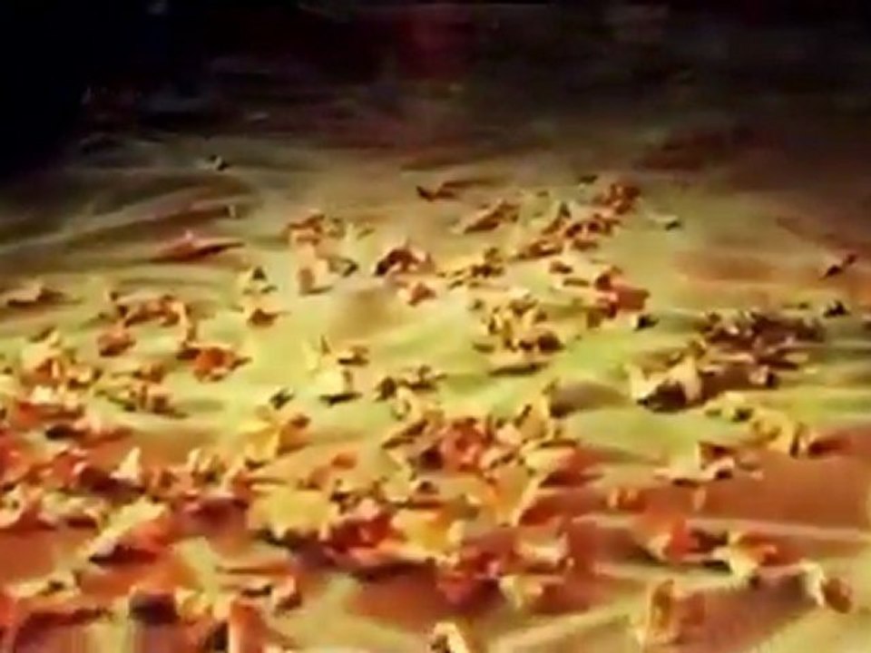 Gökhan Tepe - Söz | Yeni Klip - 2012