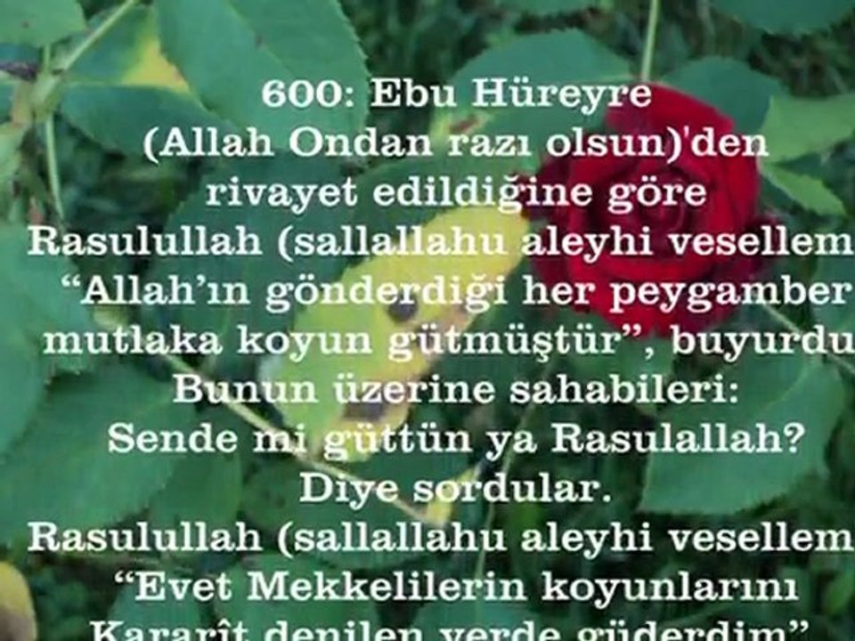 İNSANLAR ARASINDA BOZULMALAR ARTINCA BİR KENARA ÇEKİLMENİN İYİ OLACAĞI