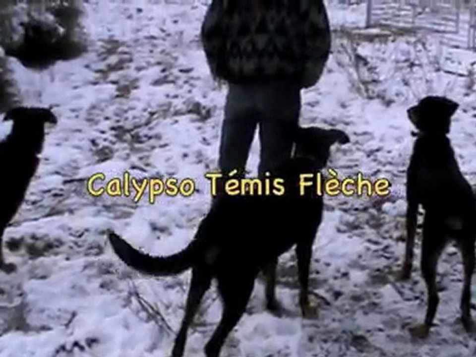 le Clan des Beaucerons