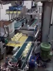 Koli doldurma robotu