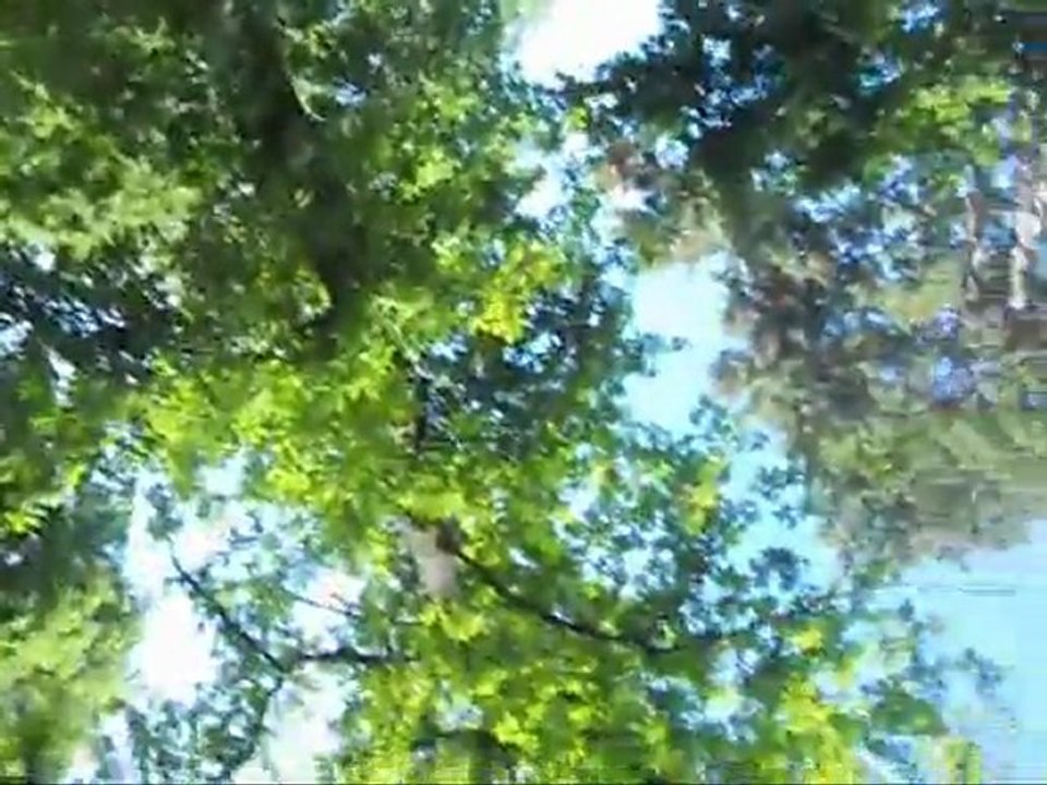 Joyeuse anniversaire Samy Biscuit