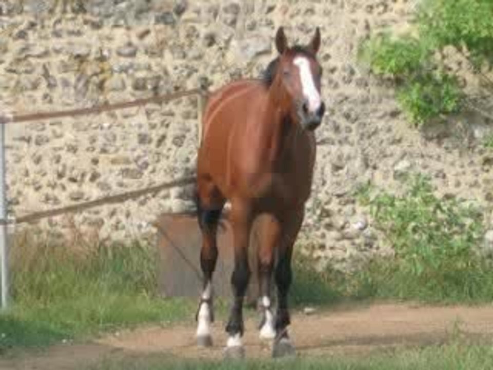 Ma chouchou...d'amour