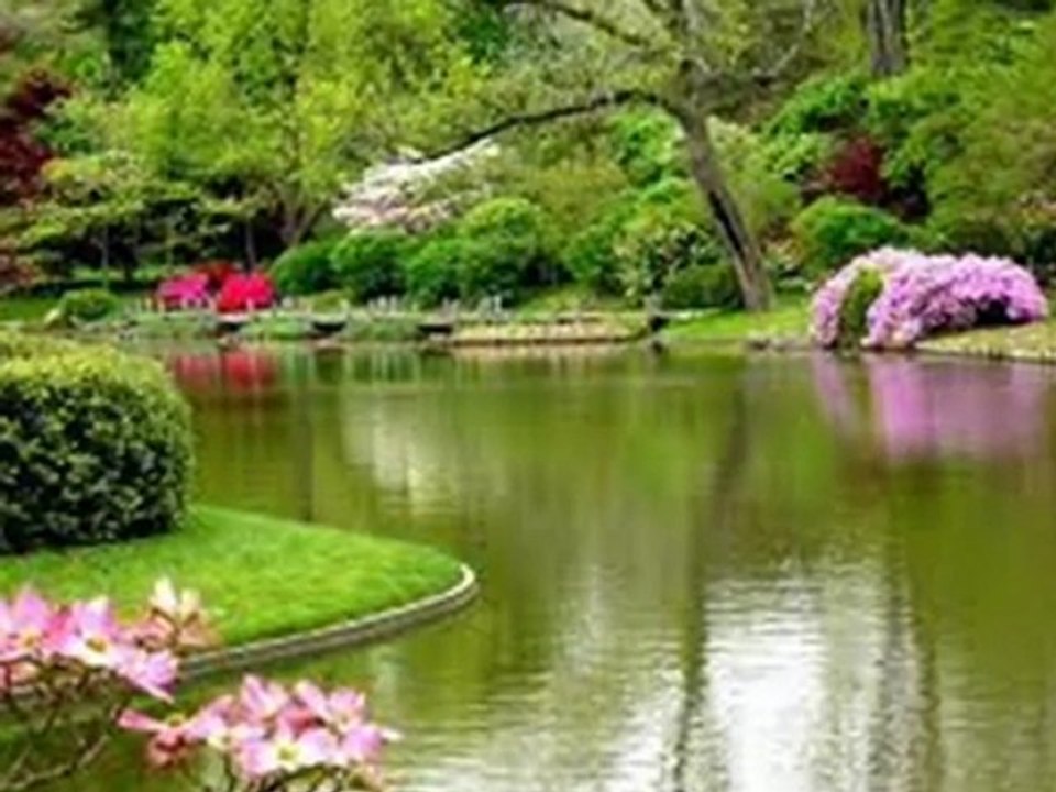 AHMET ÖZHAN GÖNLÜM SEHER YELİ GİBİ