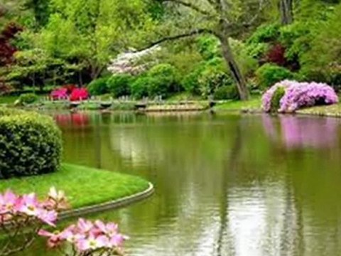 AHMET ÖZHAN GÖNLÜM SEHER YELİ GİBİ