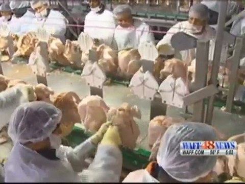 Concerns About Alabama Unemployment Situation