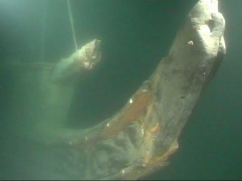 Epave de l'Hirondelle en sous-marin F-A Forel au Lac Léman