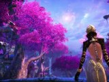 Tera - Trailer de précommande