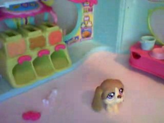 petshop trop cool les vacances partie 2