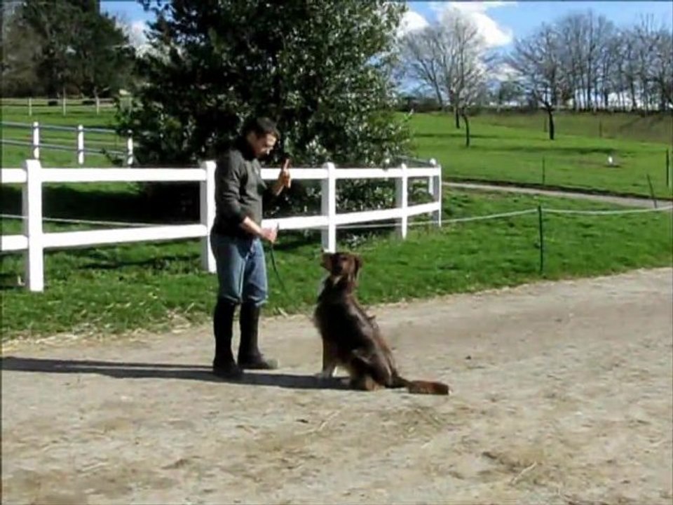 Mon film diego