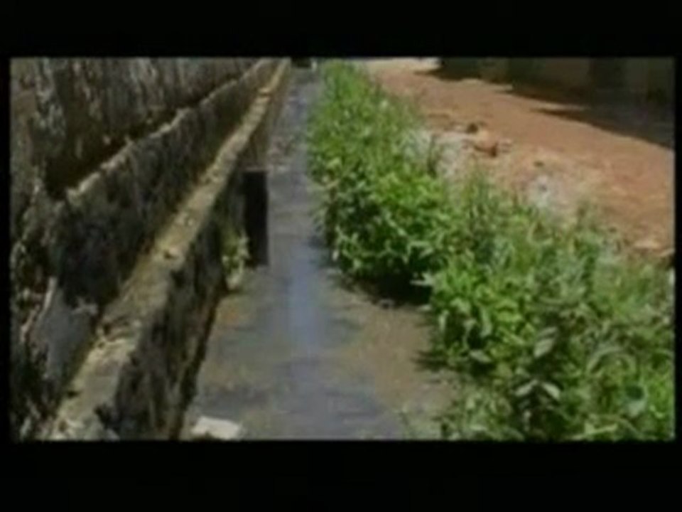 Journal Télévisé Mada / RTA / Madaplus -02-02-11