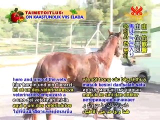 Jordan's Humane Center for Animal Welfare - P2/2