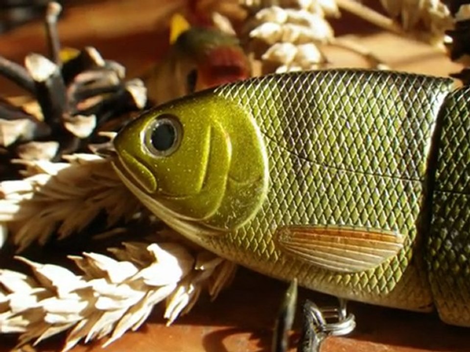 leurres pour le carnassiers