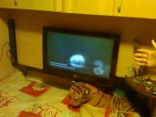 Joharno vole l'ordi du voisin qui joue a dofus