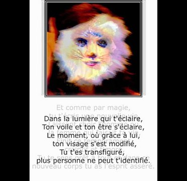 ©DIAPORAMA SOIREE DE MASQUES -CANCELLI 2006 POEME THOMAS ANDRE PHOTOS&PHOTOS-PEINTURES MARTINE ANCIAUX© TELE