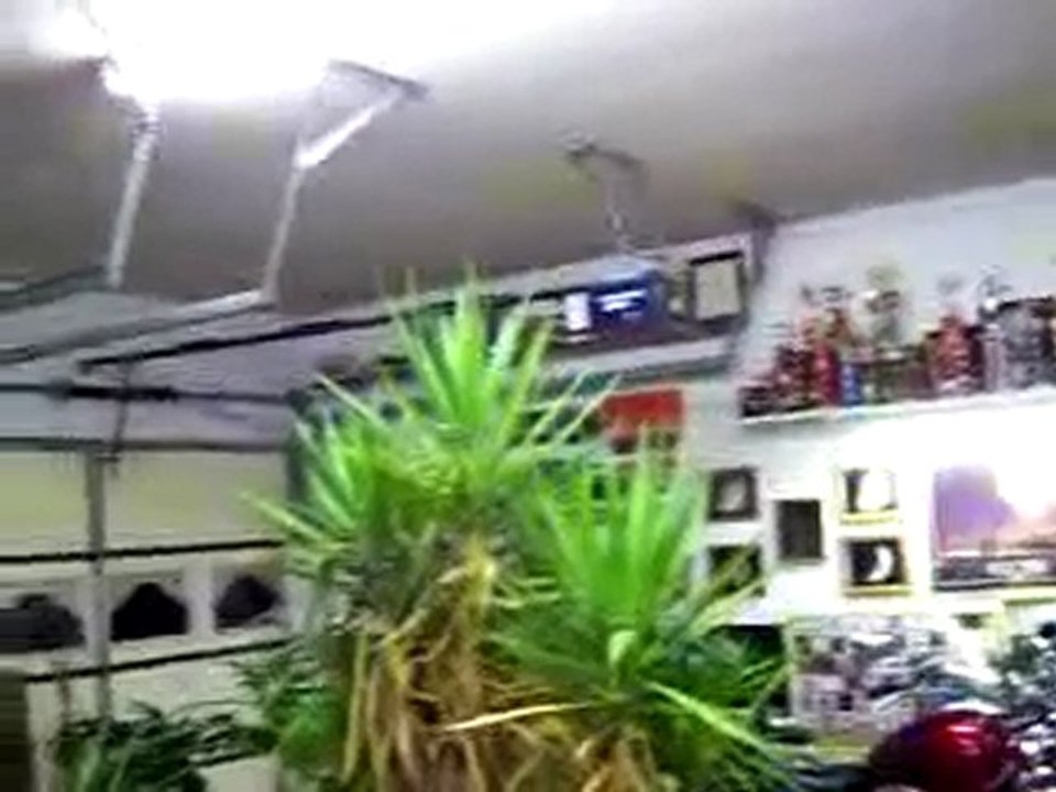 New automatic garage door opener!