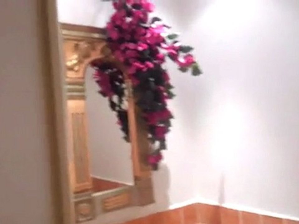 Locaux Commerciaux 60m2 Le Cannet 06 à Vendre ou à Louer