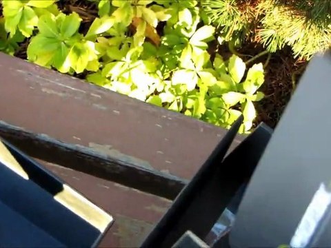 Mionix NAOS 3200 Ergonomic Optical Gaming Mouse Unboxing & First Look Linus Tech Tips