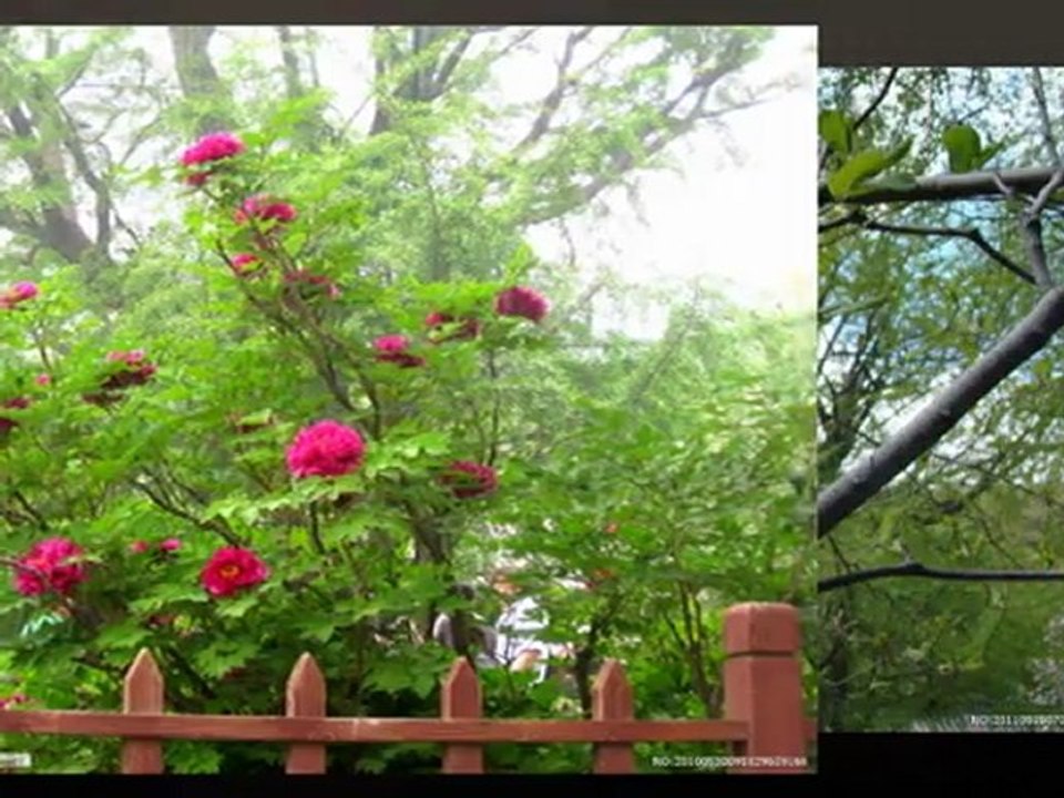 beijing day trips