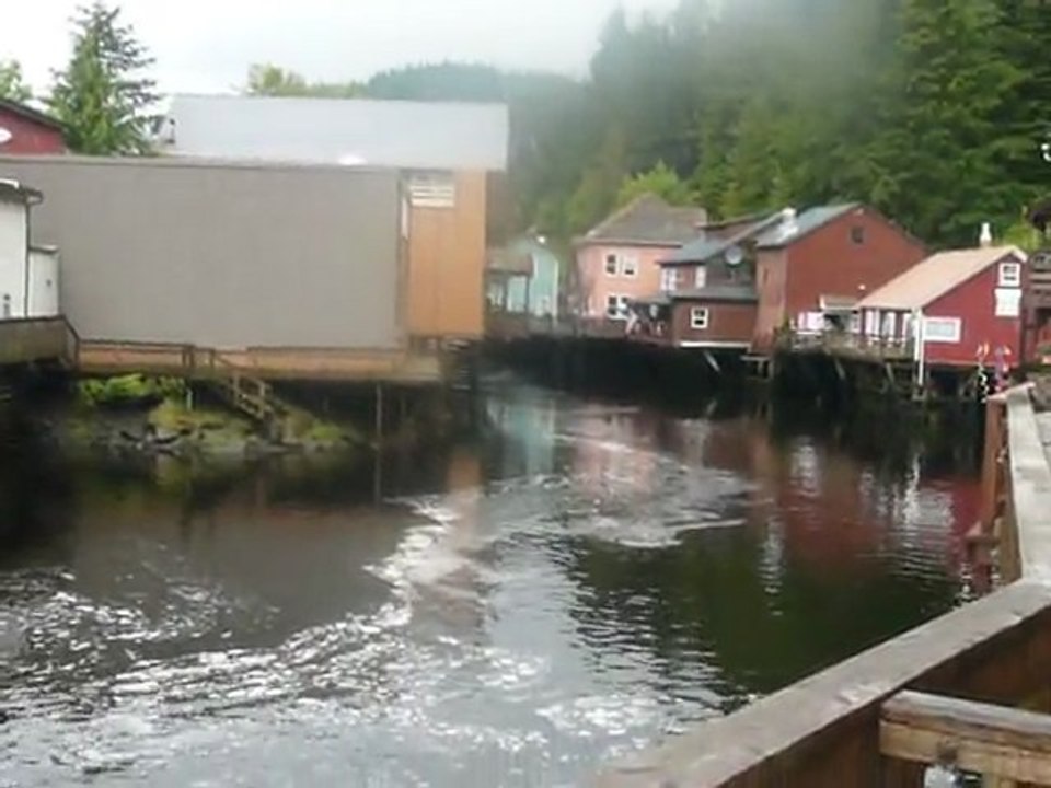 CRUISE (KETCHIKAN)-2010 012