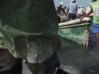 Уходим в море.