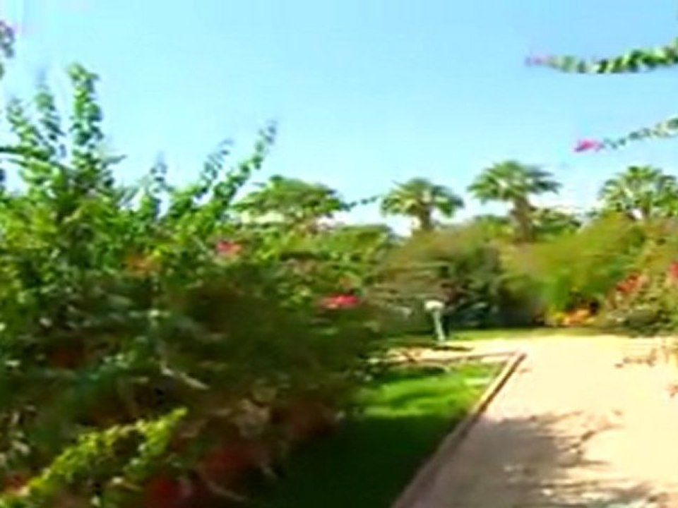 Dessole Seti Sharm Resort-Russian