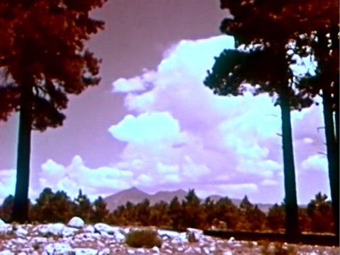 Dtwice - Cover - LCD Soundsystem Tribulations