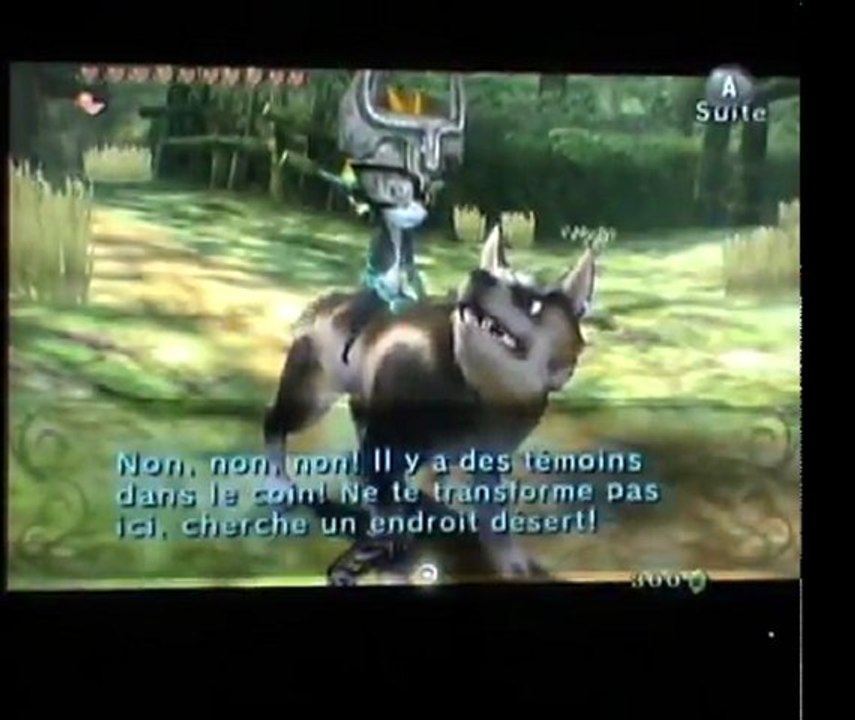 Twilight Princess [50] Les statues de hiboux Vidéo Dailymotion