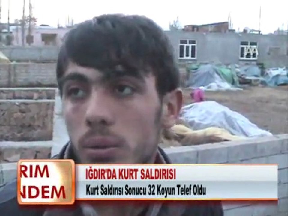 IĞDIR’DA KURT SALDIRISI 31.01.2012